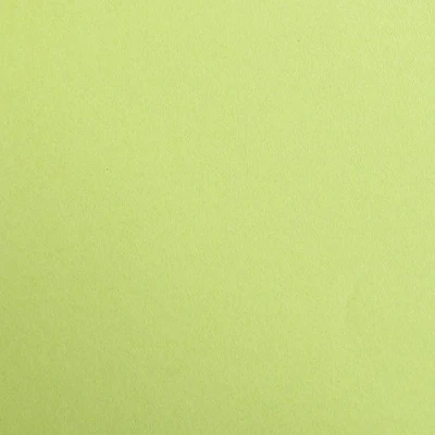 Afbeelding van Clairefontaine 97152C Pack Maya papier, mosgroen, 70,3 x 50,1 0,3 cm