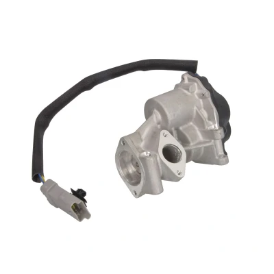 Afbeelding van EGR klep MAGNETI MARELLI 571822112137