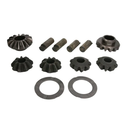 Afbeelding van C.E.I. Reparatieset differentieel 298.495