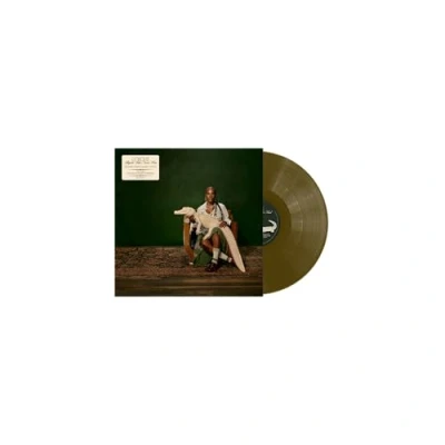 Afbeelding van Doechii Alligator Bites Never Heal (LP)
