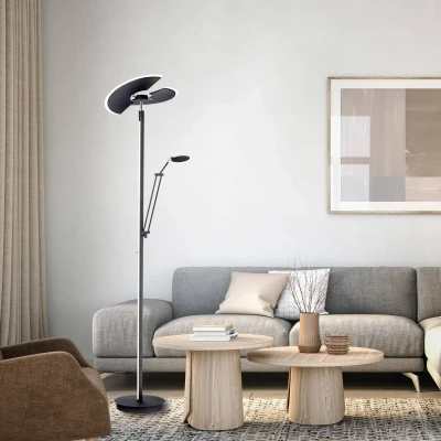 Afbeelding van Paul Neuhaus Vloerlamp Pure Mutil antraciet 678 13