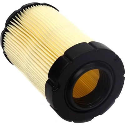 Afbeelding van Briggs &amp; Stratton Genuine Replacement Air Filter 31 33 Intek Engines