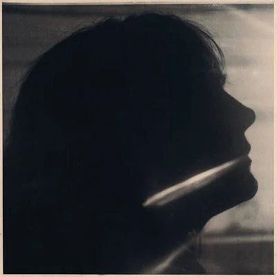 Afbeelding van Sarah Blasko I Just Need To Conquer This Mountain (LP)
