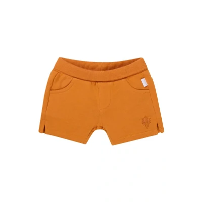Afbeelding van Noppies Broek Osmar Baby Maat 86