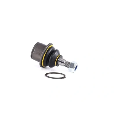 Afbeelding van Moog Fuseekogel CH BJ 10677