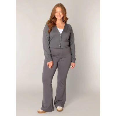 Afbeelding van Base Level Curvy Tregging Allie Modern bootcut model
