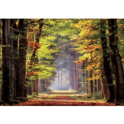 Afbeelding van EDUCA puzzel 1000 stuks HERFSTWANDELING