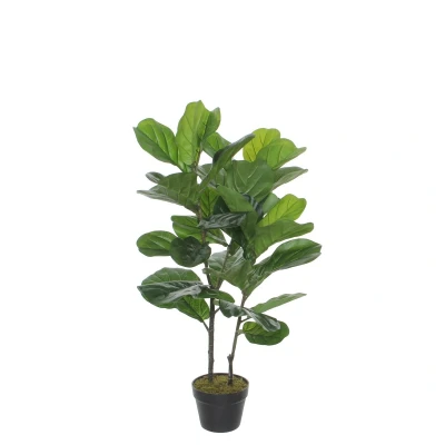 Afbeelding van Mica Decorations ficus lyrata in plastic pot maat cm: 100 x 65