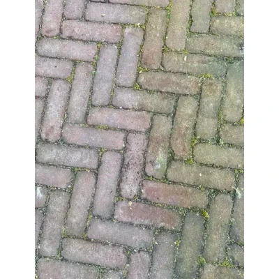 Afbeelding van Hofman GreenClear bij atmosvervuiling 5 l Kleurloos