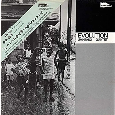 Afbeelding van Evolution