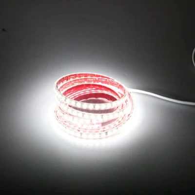 Afbeelding van LED Verlichting Binnen Buiten Strip 220V 2M Koud Wit 6000K, 2 Meters Soft Light Strips 10CM Cuttable IP67 Waterdichte (Koud wit, 2M)