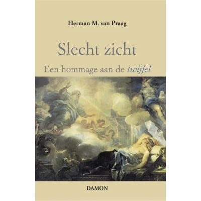 Afbeelding van Slecht zicht (Hardback)