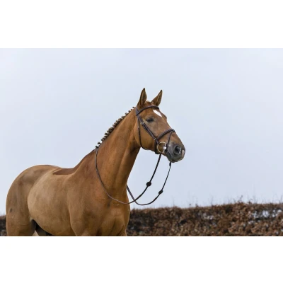 Afbeelding van Trust Hoofdstel Knokke Bruin/Zilver Full