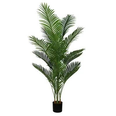 Afbeelding van Areca palm 165 cm Buitengewoon de Boet