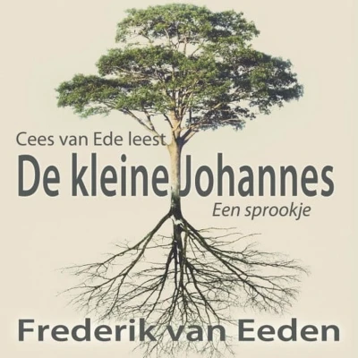 Afbeelding van De kleine Johannes