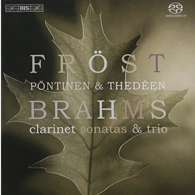 Afbeelding van Martin Fröst, Roland Pöntinen, Torleif Thedéen Brahms: Clarinet Sonatas &amp; Trio (Super Audio CD)