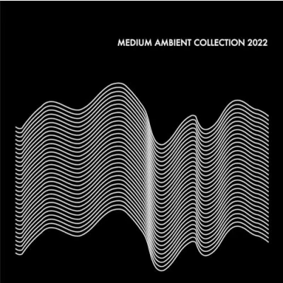Afbeelding van V/A Medium Ambient Collection 2022 (2 LPs)