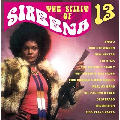 Afbeelding van Various Artists Spirit Of Sireena Vol. 13 (CD)