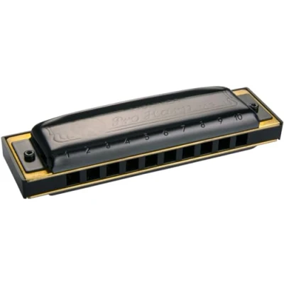 Afbeelding van Hohner Pro Harp G MS Diatonische mondharmonica