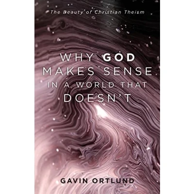 Afbeelding van Why God Makes Sense in a World That Doesn`t The Beauty of Christian Theism