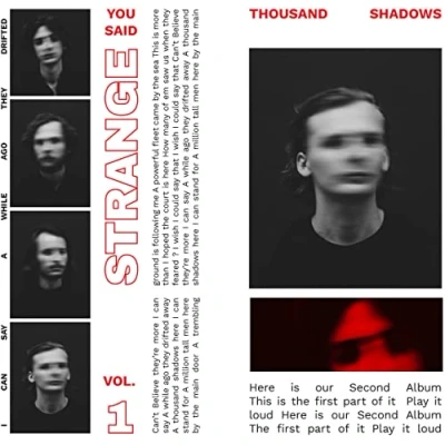 Afbeelding van You Said Strange Thousand Shadows Vol.2 (LP)