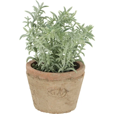 Afbeelding van Esschert Design Kunstplant/kruiden tijm in oude terracotta pot 15 cm kruiden Kunstplanten