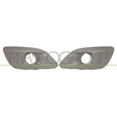 Afbeelding van Radiateurgrille PRASCO PG4282140