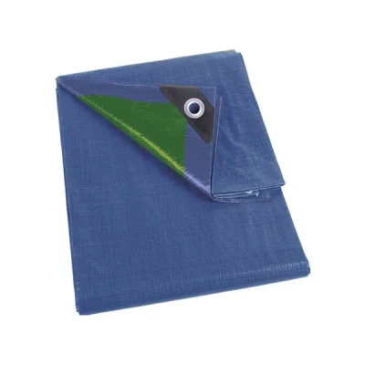 Afbeelding van Perel Dekzeil, 20 ringen, versterkte hoeken, vierkant, blauw/groen, 70 g/m², 5 x m