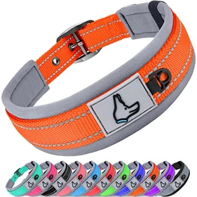 Afbeelding van Joytale Neopreen gewatteerde hondenhalsband voor kleine honden, 11 kleuren, reflecterende brede halsband met duurzame metalen riemgesp, verstelbare zwaar belastbare nylon hondenhalsband, oranje