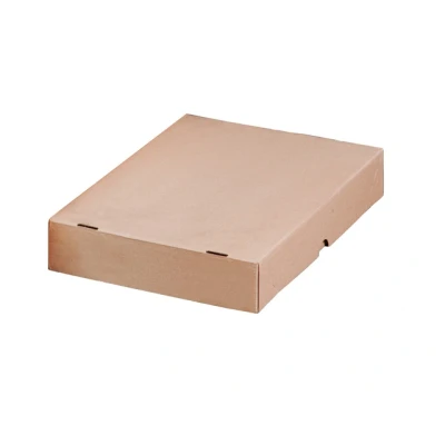 Afbeelding van Raadhuis Rd 351144 10 Paraatdoos Hersluitbaar 305X215X50Mm Bruin Stuks