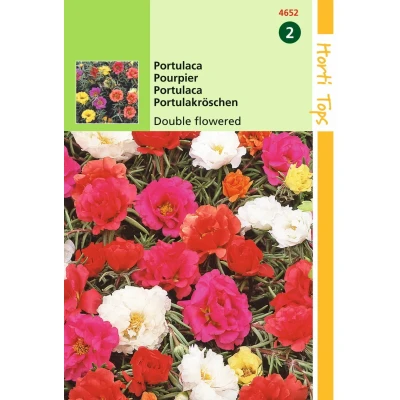 Afbeelding van Portulaca dubbelbloemig gemengd