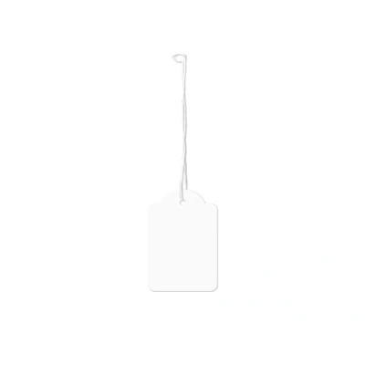 Afbeelding van Draadetiket Kangaro 36x53mm wit doos a 250 stuks per 4