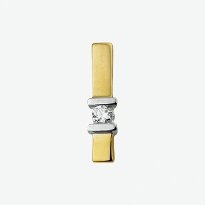 Afbeelding van Bicolor gouden zirkonia hanger