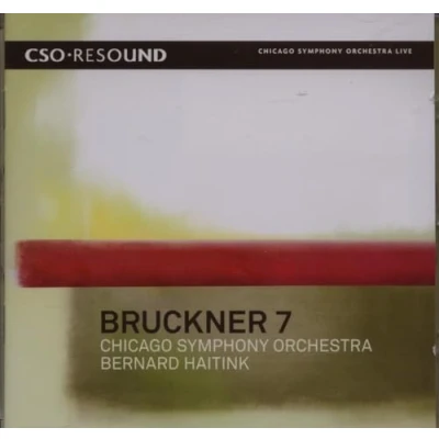 Afbeelding van Chicago Symphony Orchestra No.7 (CD)