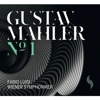 Afbeelding van Wiener Symphoniker, Fabio Luisi Symphony No.1 (CD)