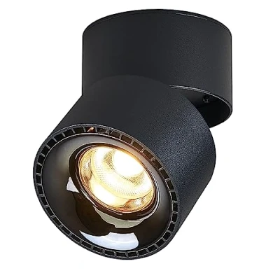 Afbeelding van Budbuddy 12W LED Opbouwspots Plafondlampen Plafondspots Instelbare Verlichtingshoek Winkel Commerciële Huishoudelijke Opbouwlamp Plafondschijnwerper Opbouw Schijnwerper Spotjes Spotlight Aluminium