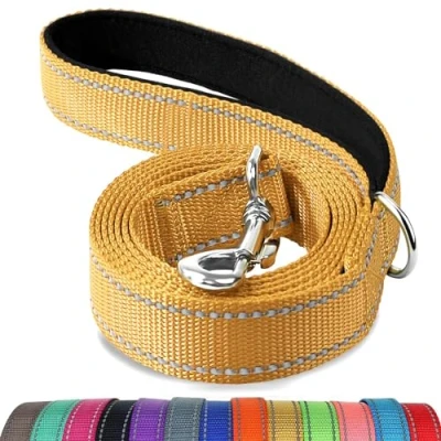 Afbeelding van Joytale Hondenriem met gevoerd handvat, dubbelzijdige reflecterende nylon hondenlijnen voor training, wandelriem kleine, middelgrote honden, 1,8 m x 2 cm, kaki