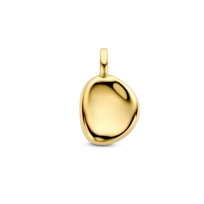 Afbeelding van zilver verguld (geel) hanger 2102889