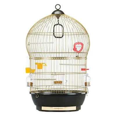 Afbeelding van Ferplast Vogelkooi BALI Kanaries, Parkieten, Vinken, Agapornis, van Metaal, Inclusief Accessoires Roterende Voerbakken Zitstokken 43.5 x h 68.5 cm.