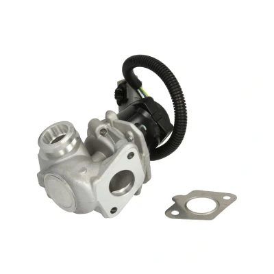 Afbeelding van Wahler EGR klep 710936D
