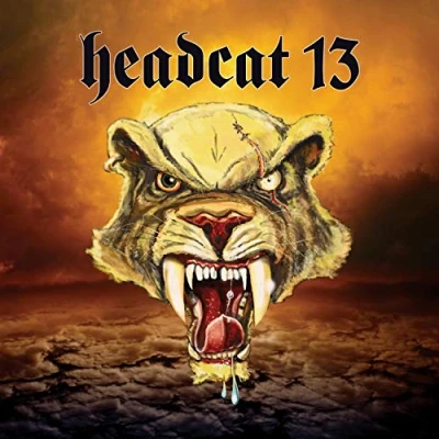 Afbeelding van Headcat 13