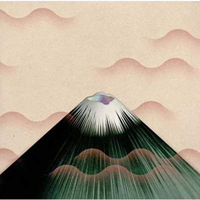 Afbeelding van Gruff Rhys Seeking New..