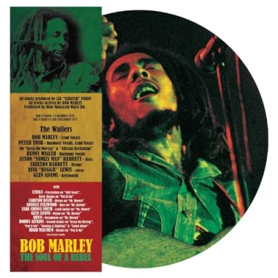 Afbeelding van The Soul of a Rebel (Pd)