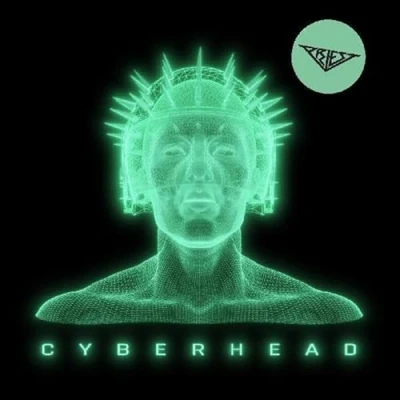 Afbeelding van Priest Cyberhead