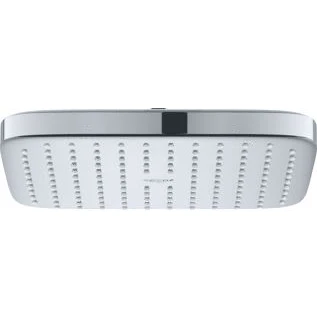 Afbeelding van GROHE Professional Tempesta 250 Cube hoofddouche