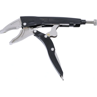 Afbeelding van BGS Griptang &quot;2 IN 1&quot; 200 mm