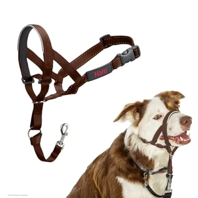 Afbeelding van Company of Animals HALTI Halster, om te voorkomen dat uw hond aan de riem trekt. Verstelbaar, reflecterend en licht, met gevoerde neusband, Deep Walnut, 2