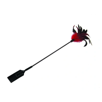 Afbeelding van S&amp;M Feather Slapper Sekstuigje