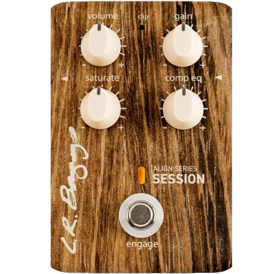 Afbeelding van LR Baggs Align Session