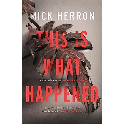 Afbeelding van This is What Happened: Mick Herron